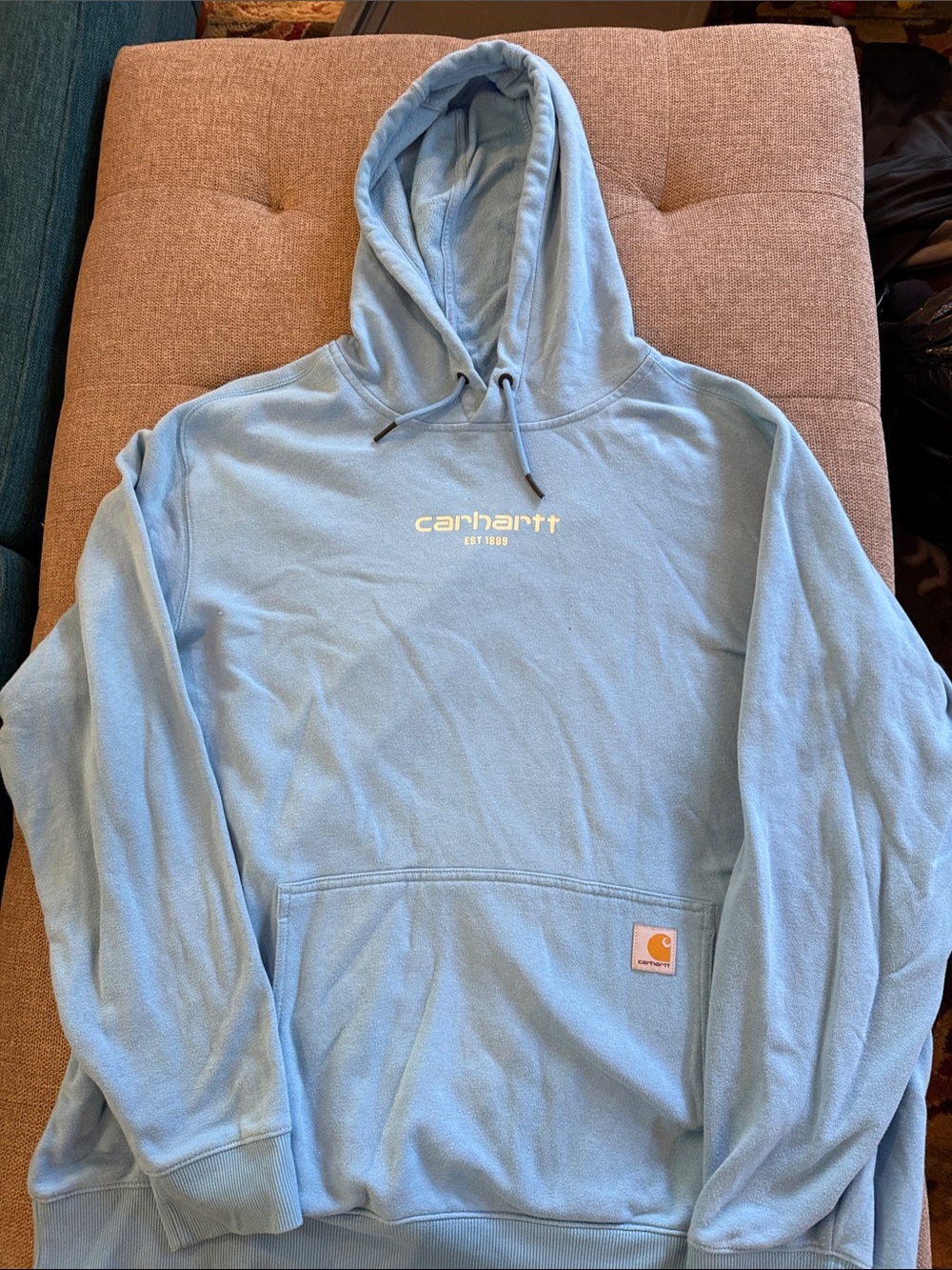 Carhartt Men's Baby Blue Logo Hoodie